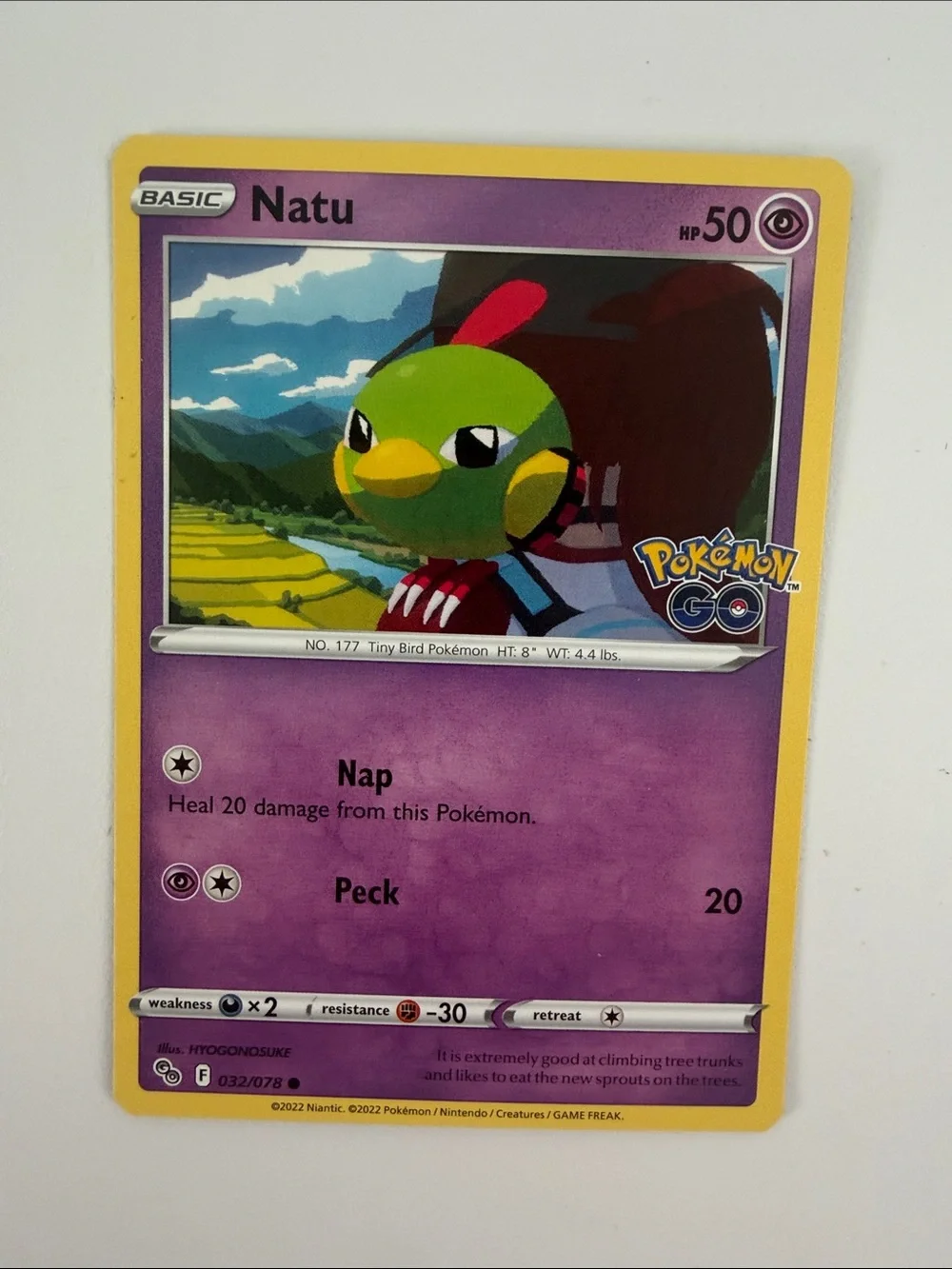 🕊️ Flying Pokémon Card Lot | Cramorant Kilowattrel Hawlucha Murkrow ✨5/$25✨
